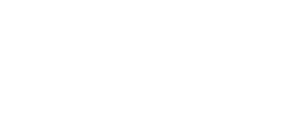 lg29 ltd logo upscaled white